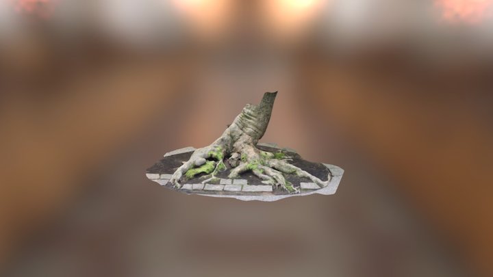 Tree trunk 3D Model