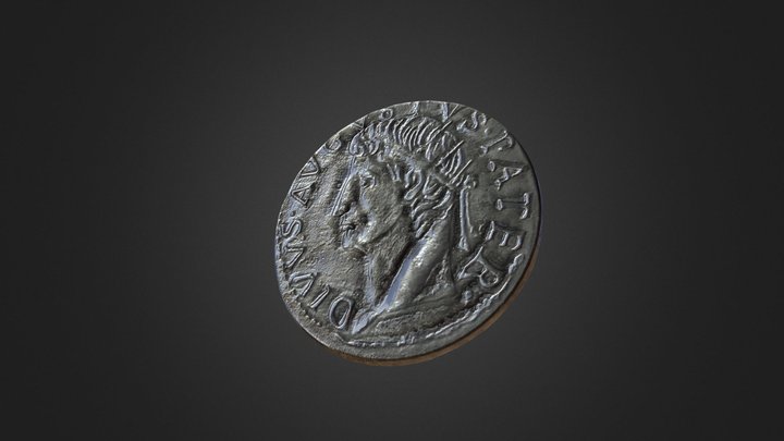 Roman Coin 3D Model