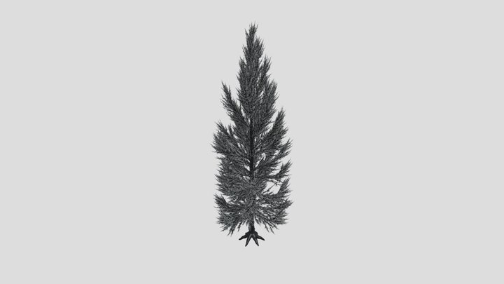 Pine Tree Variation