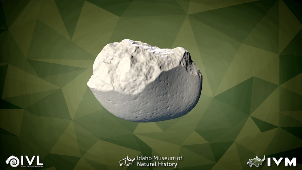 1596-6 45ww61-12