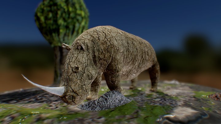 Rhino 3D Model