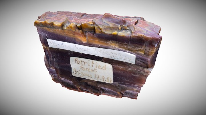 Bois fossilisé