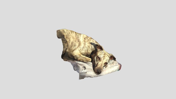 Zen Face 3D Model