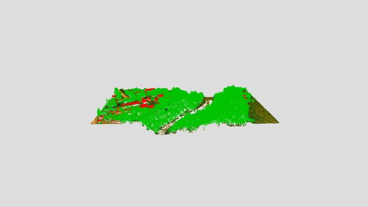 Классифицированное облако точек 3D Model