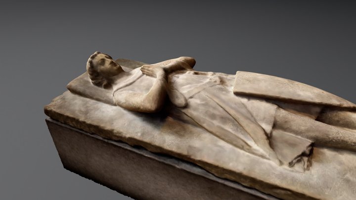 A Knight of the d'Aluye Family 3D Model