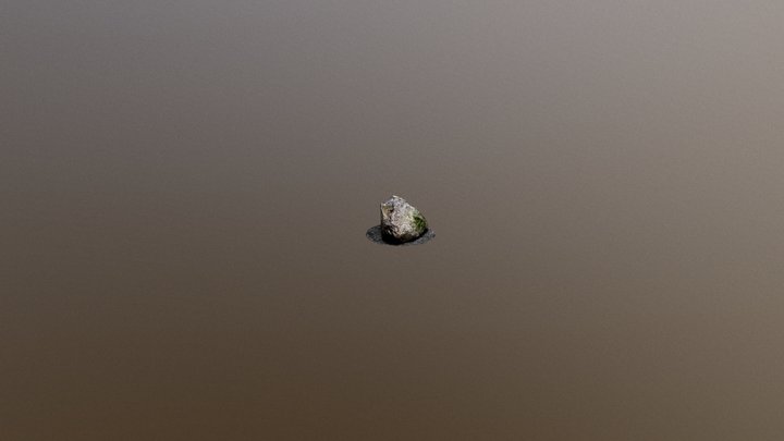 Photoscanned Rock 3D Model