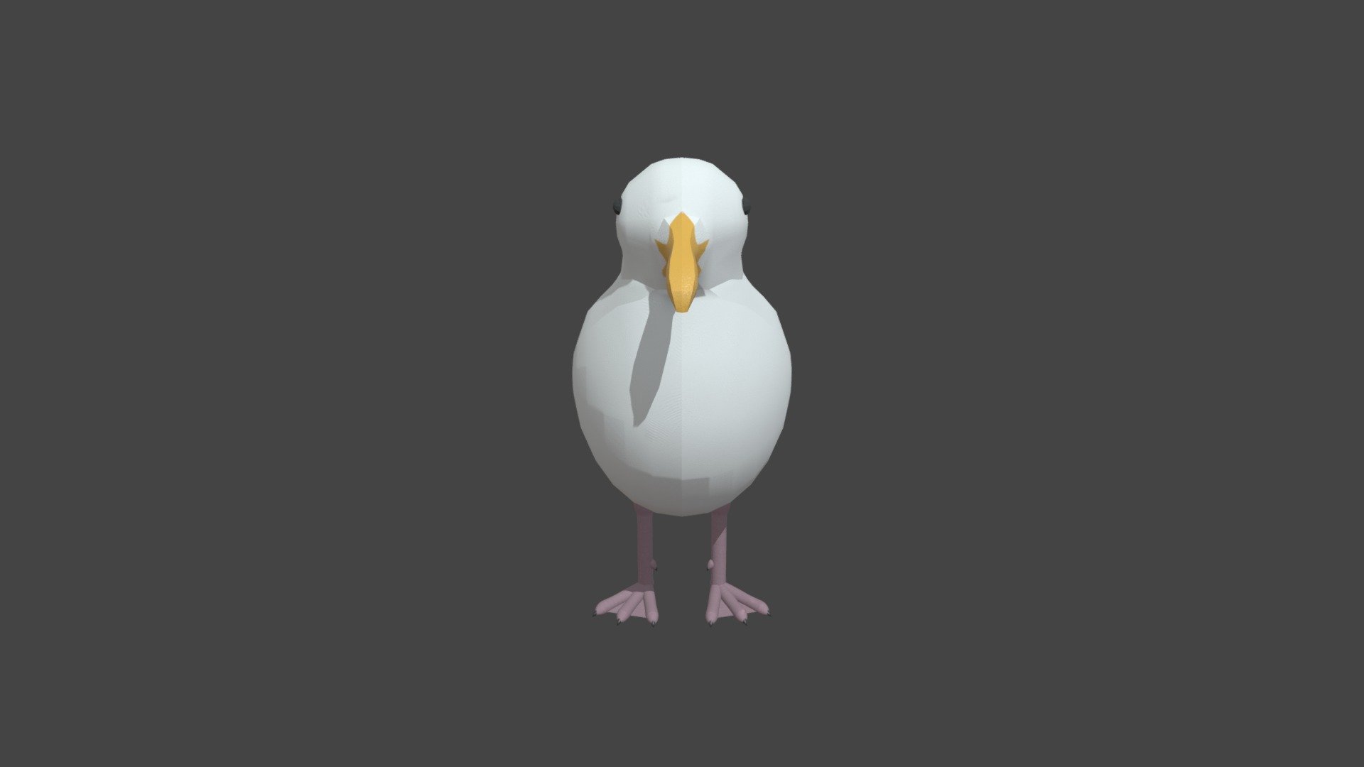 Bird Model