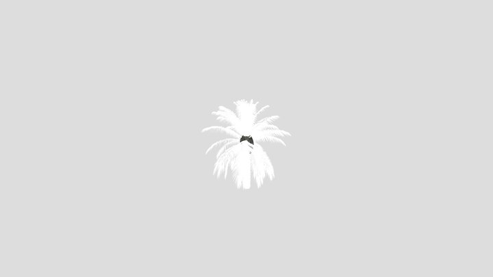 Dactylifera Palm Tree Animated – Modelo 3D gratuito STL