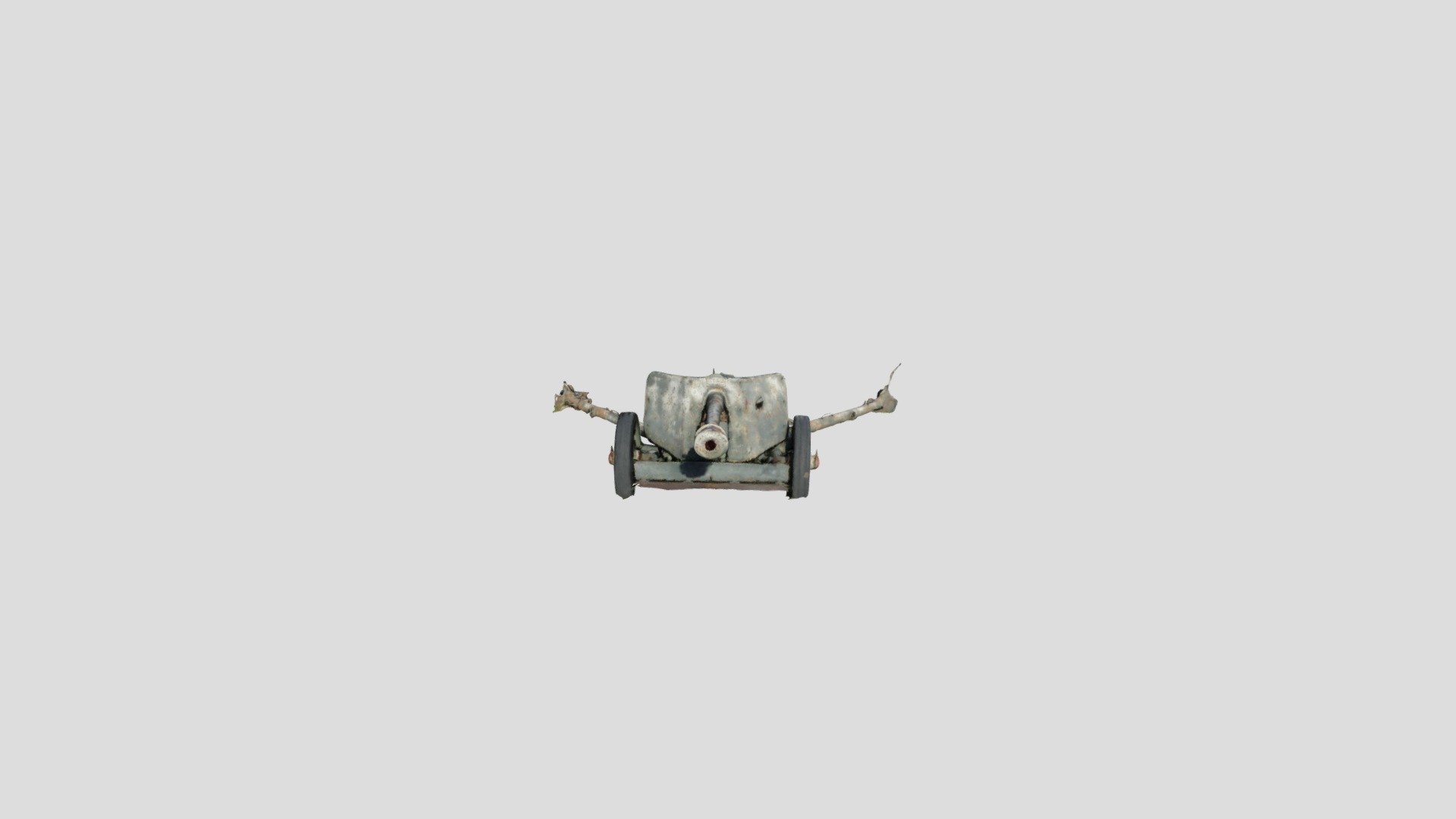 METASHAPE CANNON PROCESSED