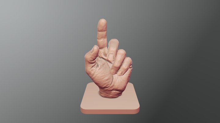 Hand Scan 3D Model
