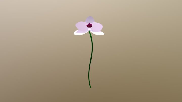 Orchid 3D Model