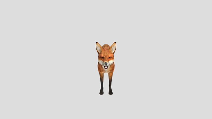 RedFox 3D Model