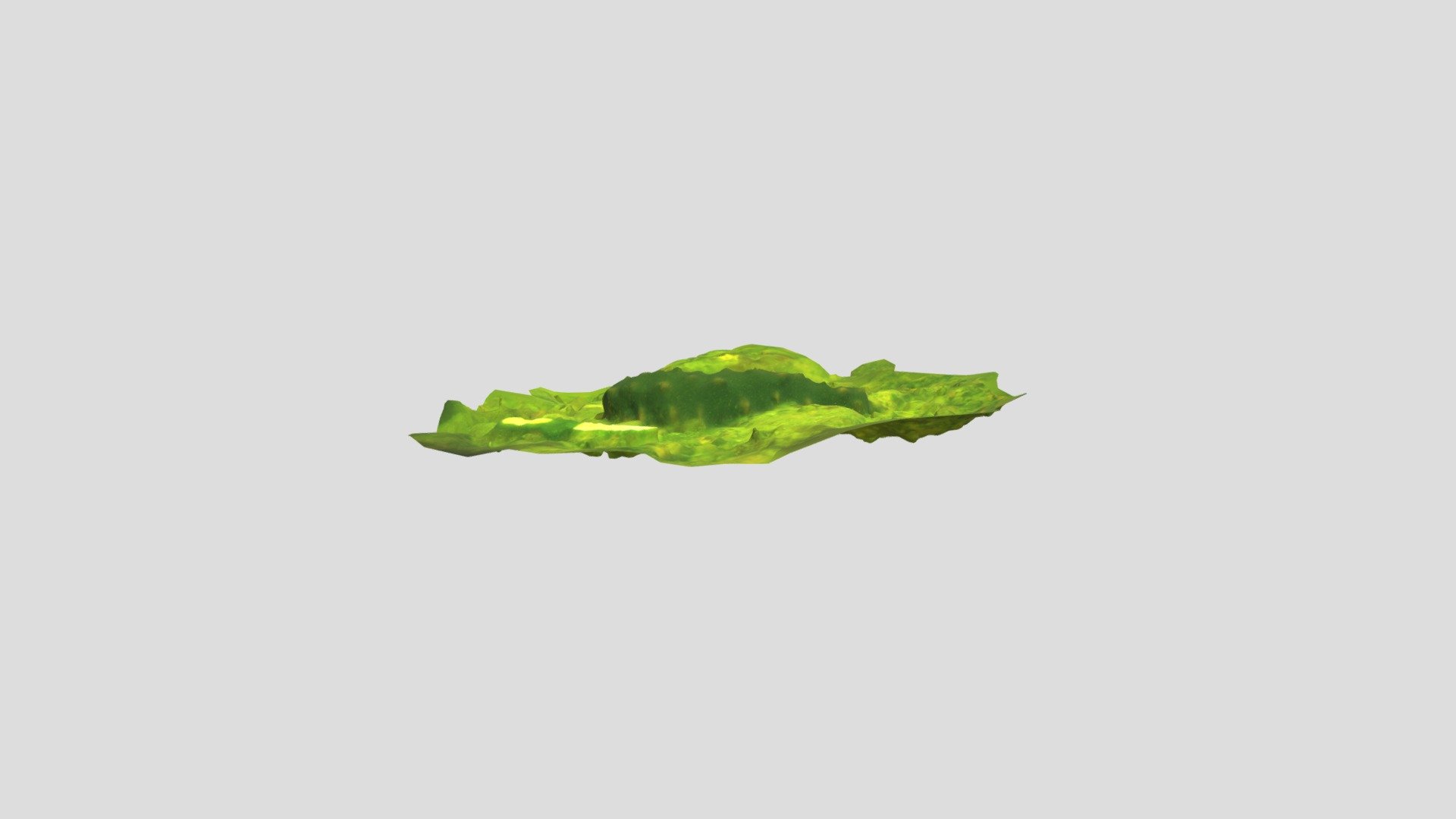 Parastichopus californicus Download Free 3D model by filippoferrario