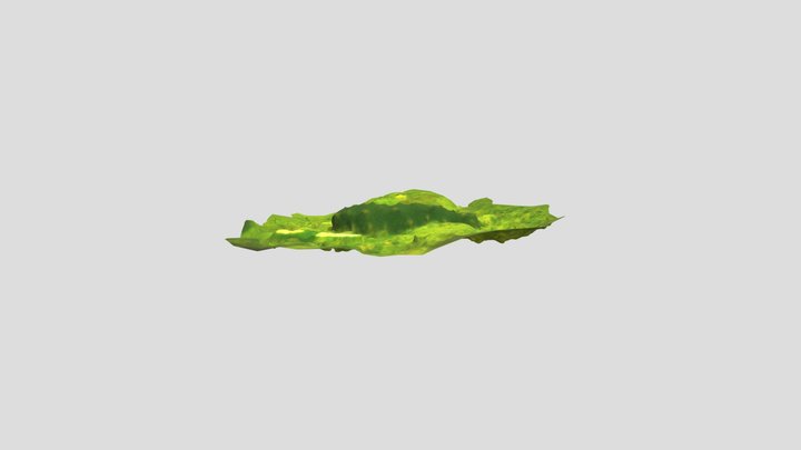 Parastichopus californicus 3D Model