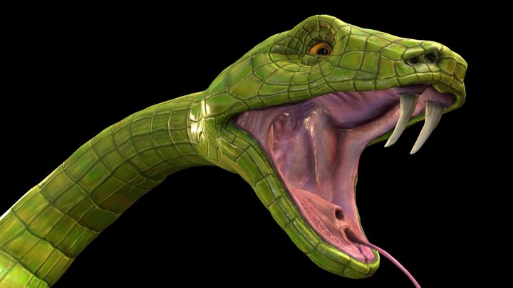 Big Green Aggressive Snake 3D Model