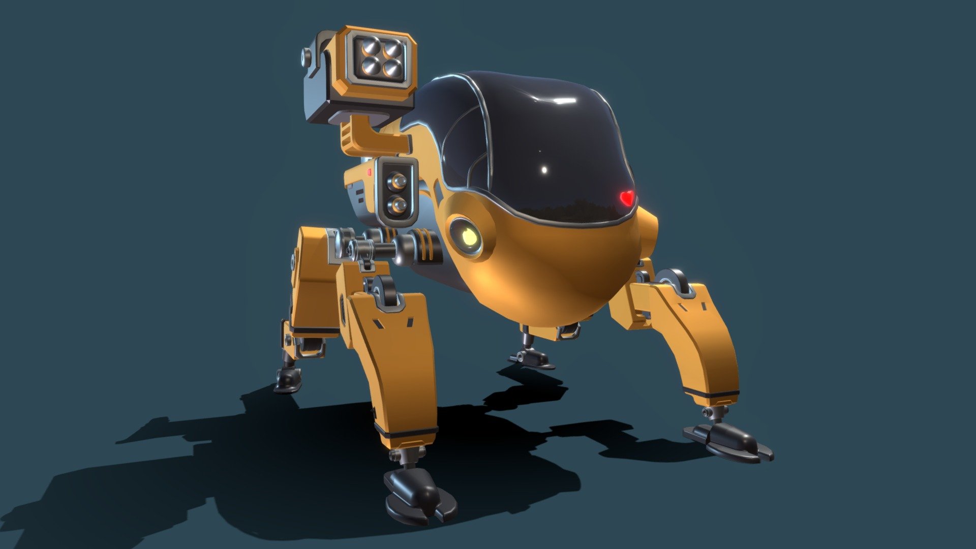 Сoursework XYZ School Draft Corby-Frog