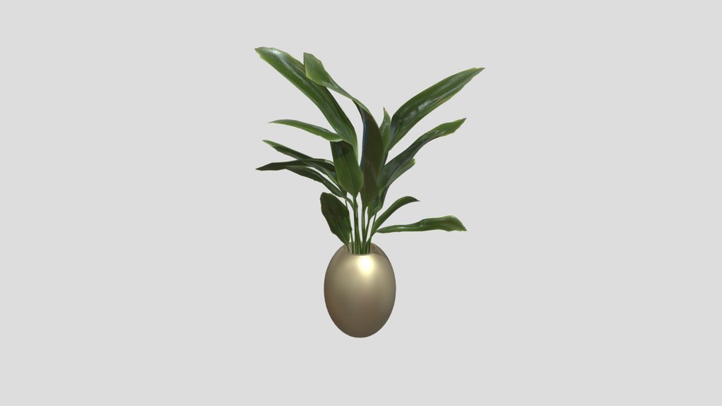 Plant