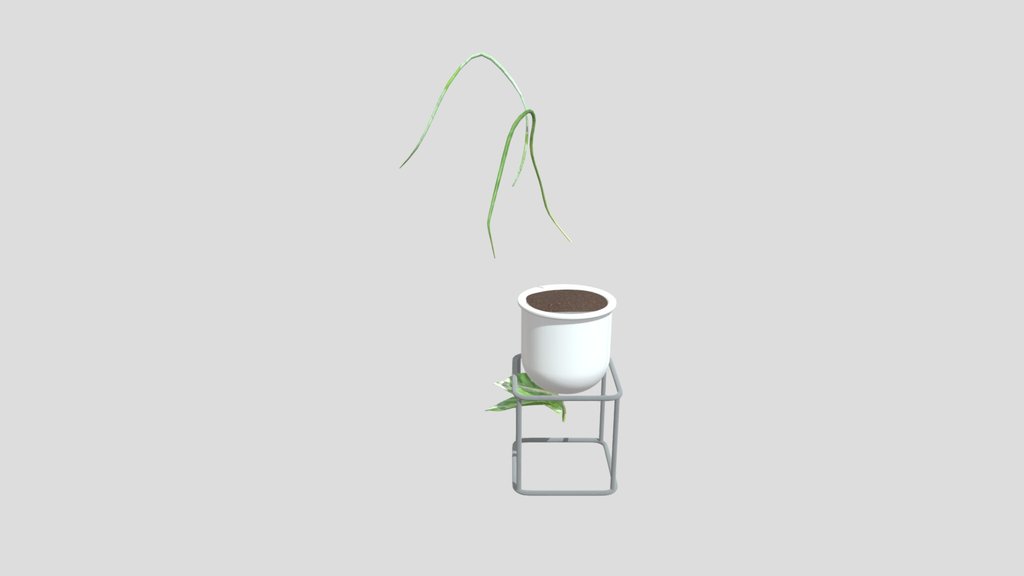 Ivy Plant In White Pot Cube