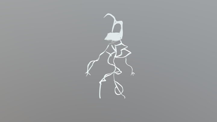 Bacteria 3D Model