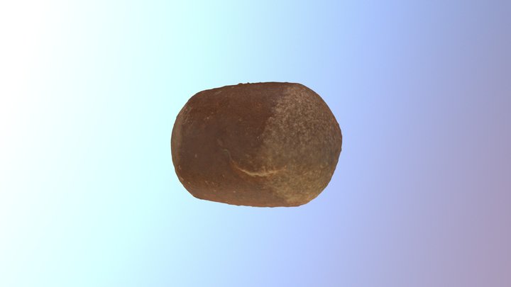 Neolithic Hammerstone 3D Model