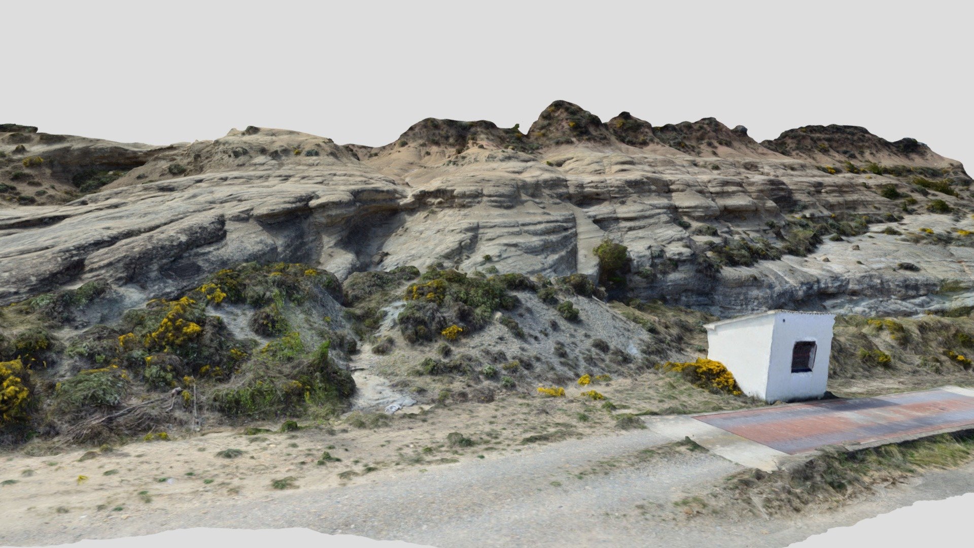 Olsón well outcrop: braided to meandering