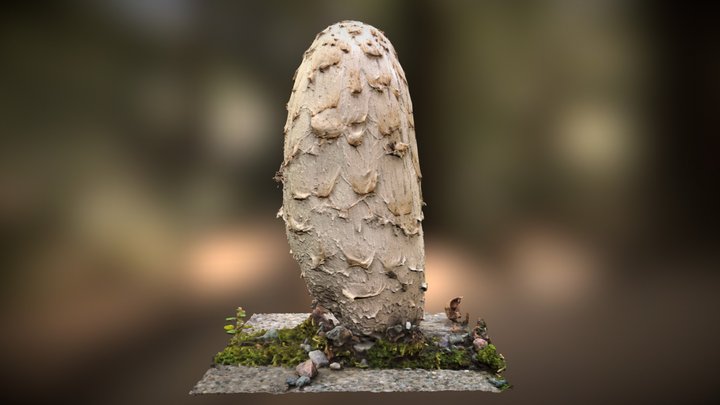 Coprinus Mushroom (free) 3D Model