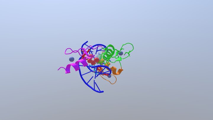 Klf4 (C2H2) + methylated DNA 3D Model