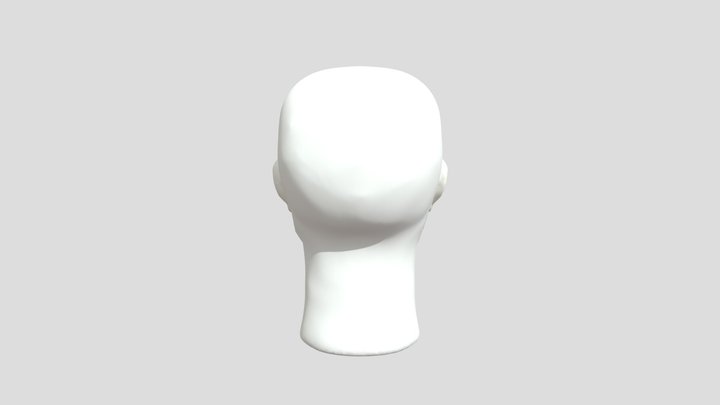 My model 3D Model