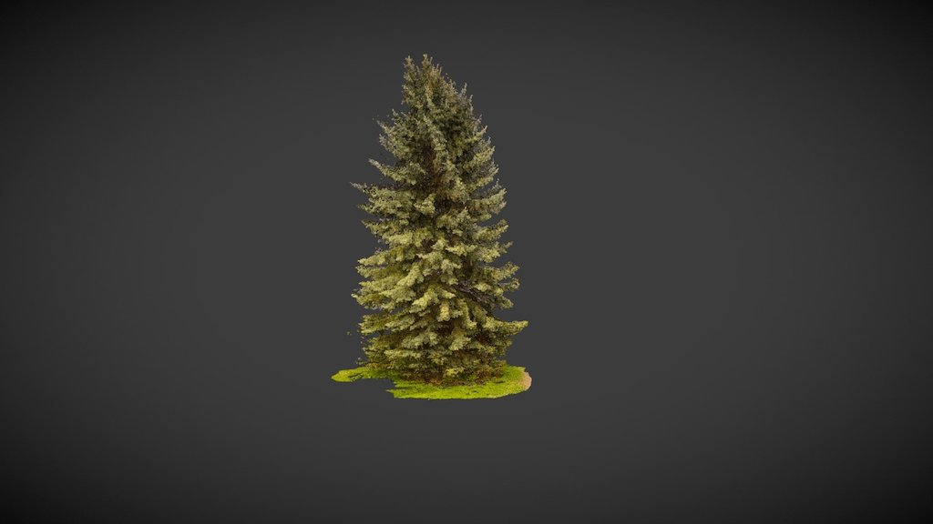 Spruce Cloud Scan(HiRes)