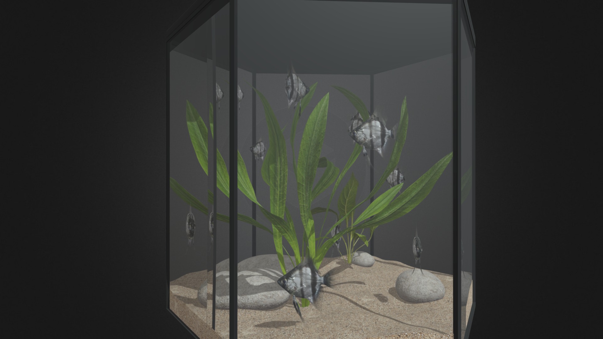3D model Hexagonal Aquarium - This is a 3D model of the Hexagonal Aquarium. The 3D model is about a plant in a glass case.