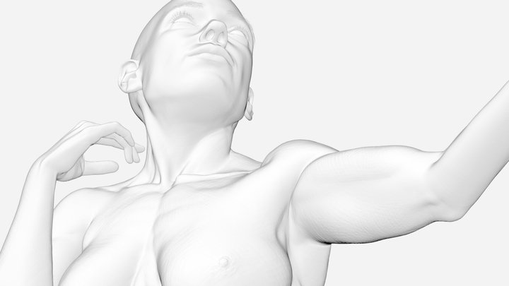 Human 3D Model