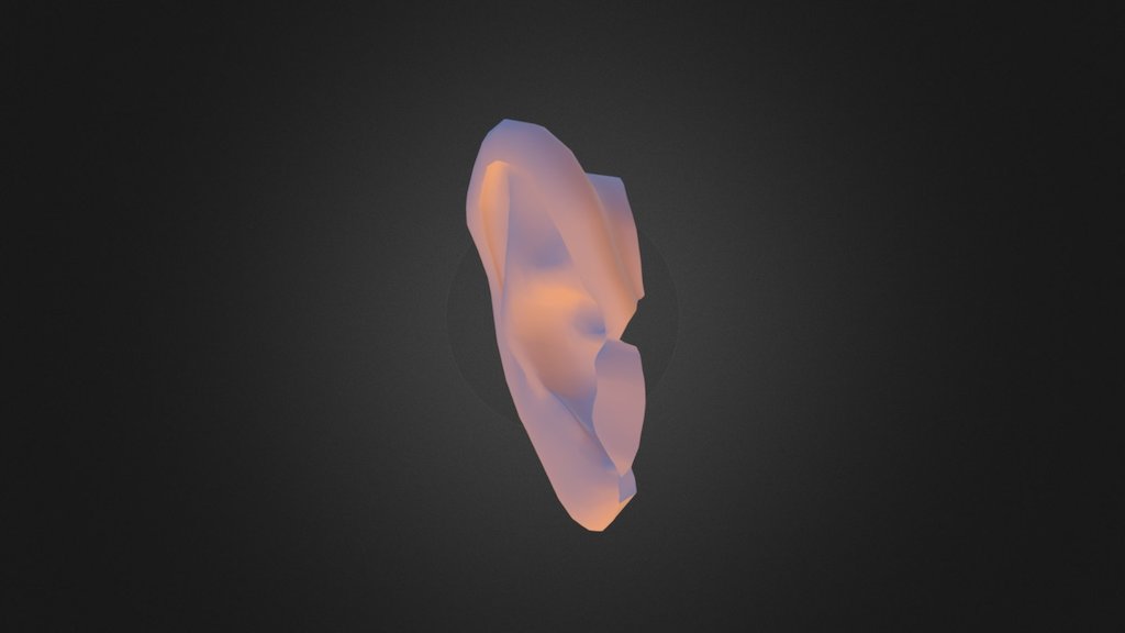 Ear Model - 3D model by Jessica Fletcher (@dalinara) [e0d9de2] - Sketchfab