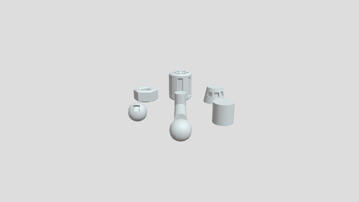 Topology Review 3D Model