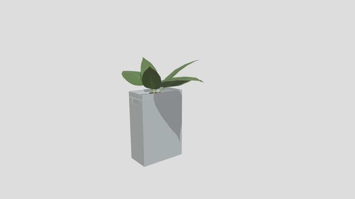 Plant_Life 3D Model