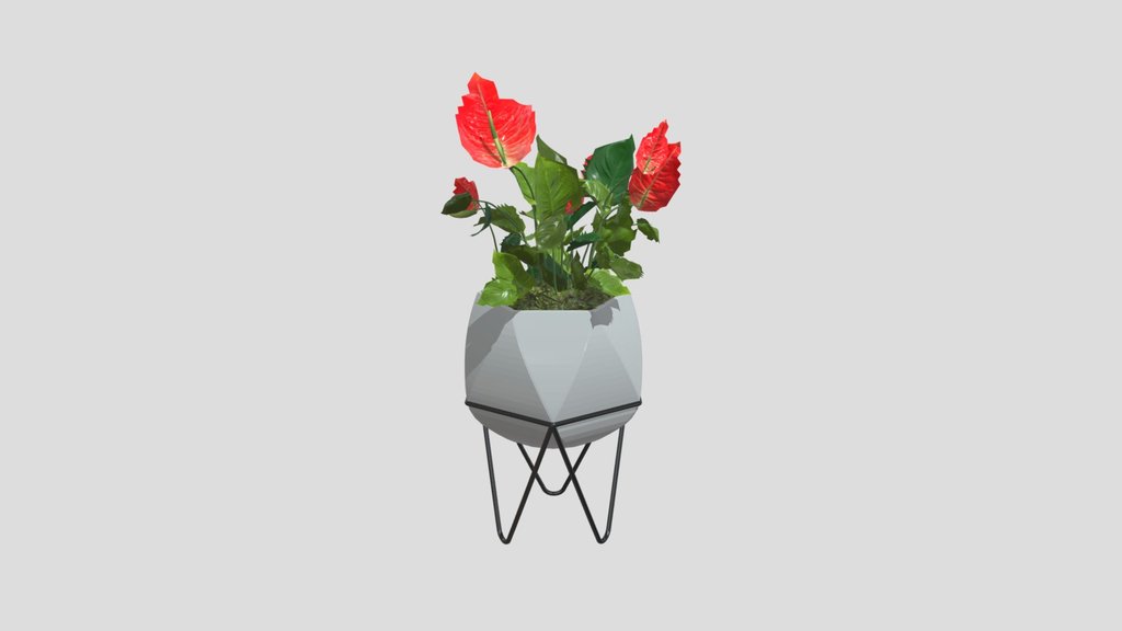 Anthurium In Faceted