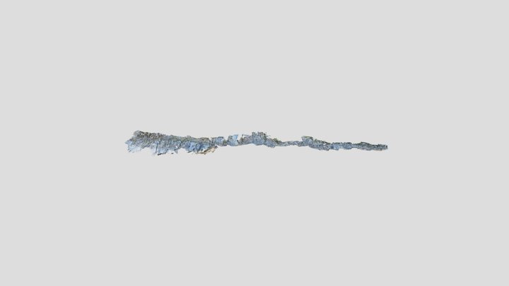 Untitled Scan 3D Model