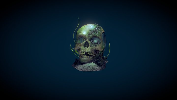 Skull Aquarium (RealTime) 3D Model