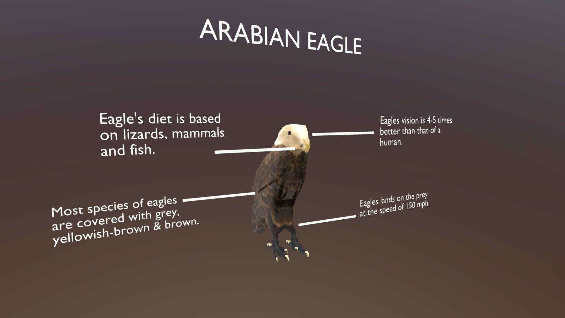 Arabian Eagle - Download Free 3D model by salarchana55 (@salarchana55)  [e0ec0e6]