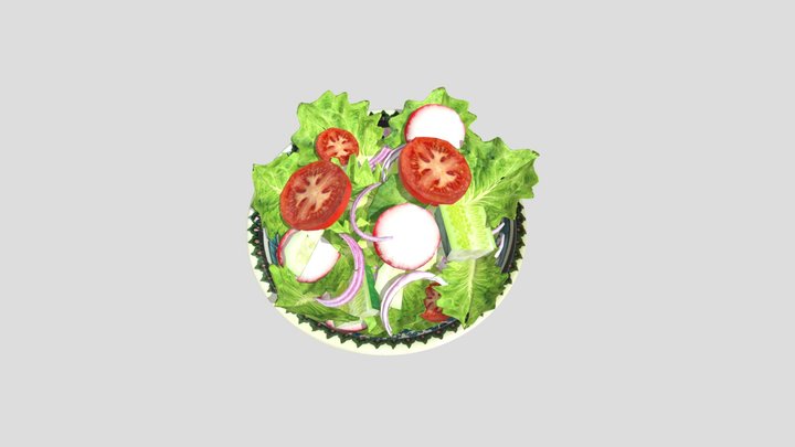 Salad Plate for Restaurent AR 3D Model