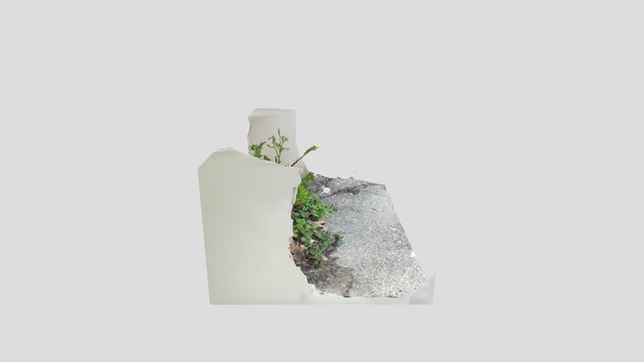 Pissenlit 2 3D Model
