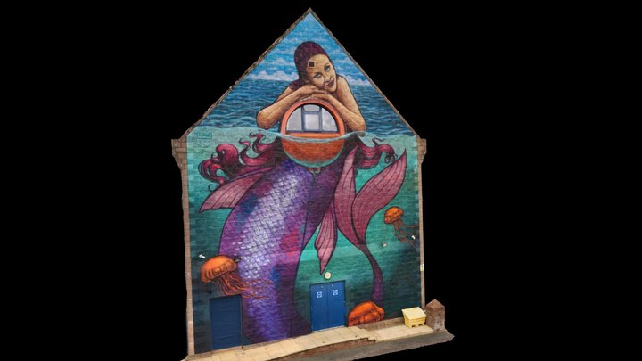 Street Art Bangor County Down 3D Model