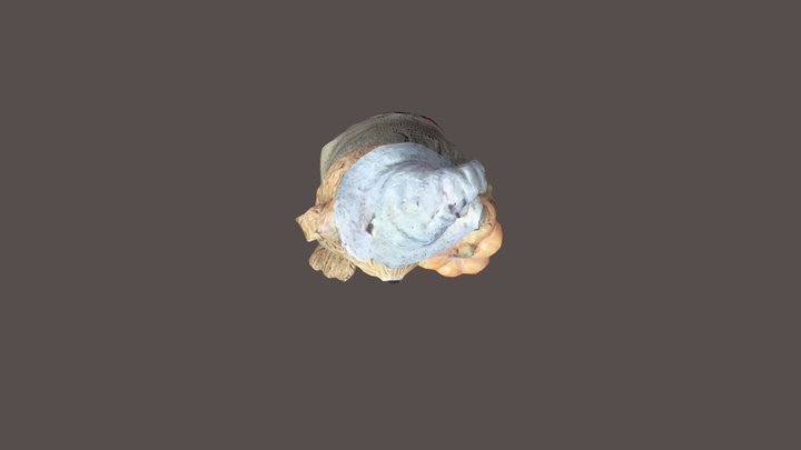 Fotogrametría objeto - Oso 3D Model