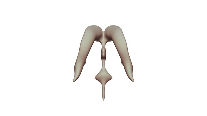 有洞的模型 3D Model