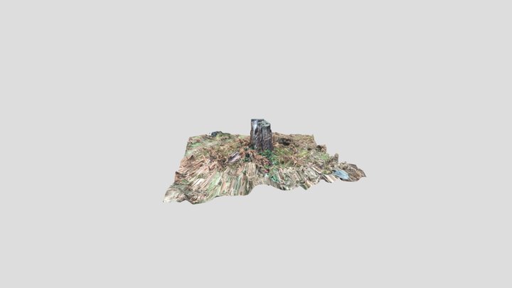 Tree stump 001 3D Model