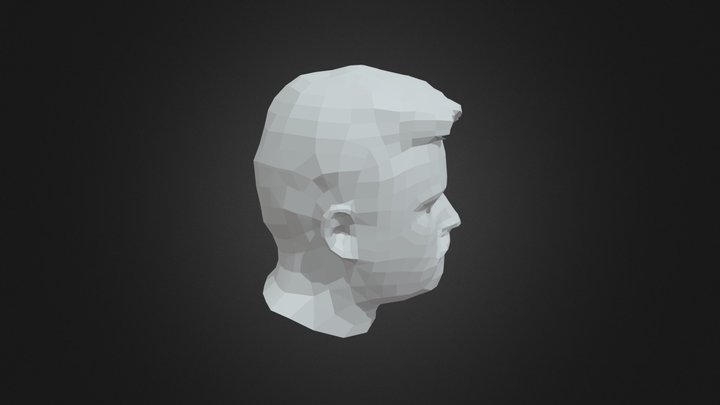 Face Topo Practice 3D Model