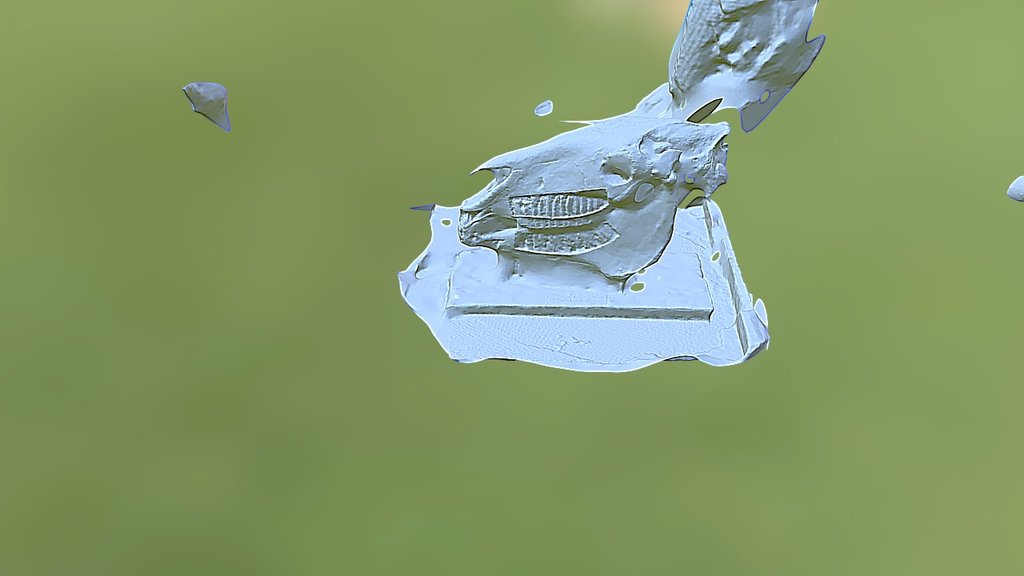 5202853 Horse