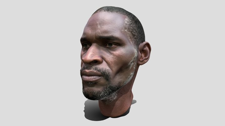Bearded Man 3D Model Free – Kostenloses 3D-Modell STL