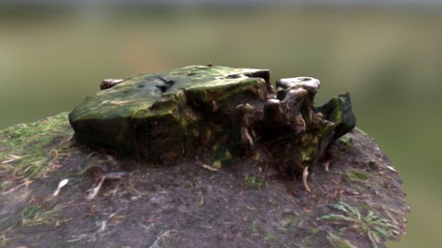 pieniek_01 (stump_01)