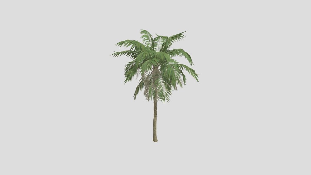Palm V1