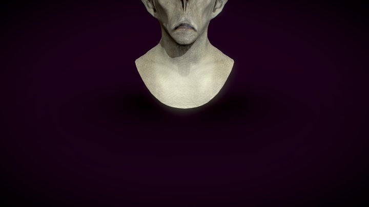 Base 3D Model